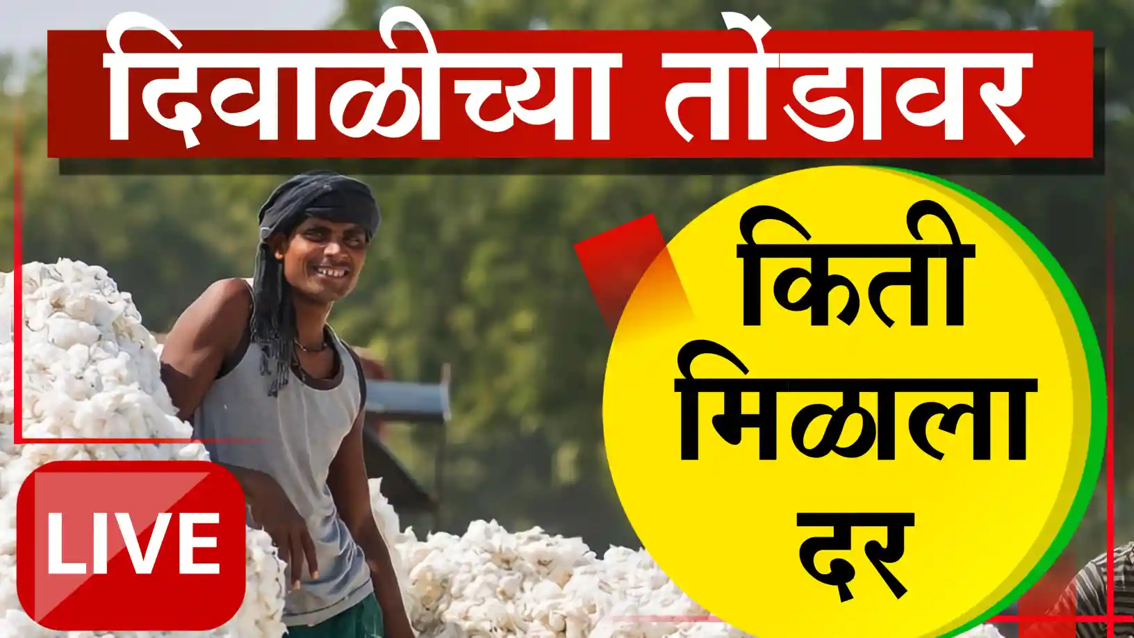 कापूस दरात मोठी तफावत